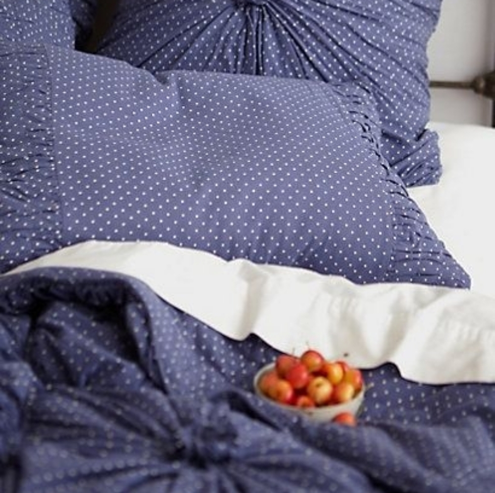 Anthropologie Rosette Standard Shams (set of 2)